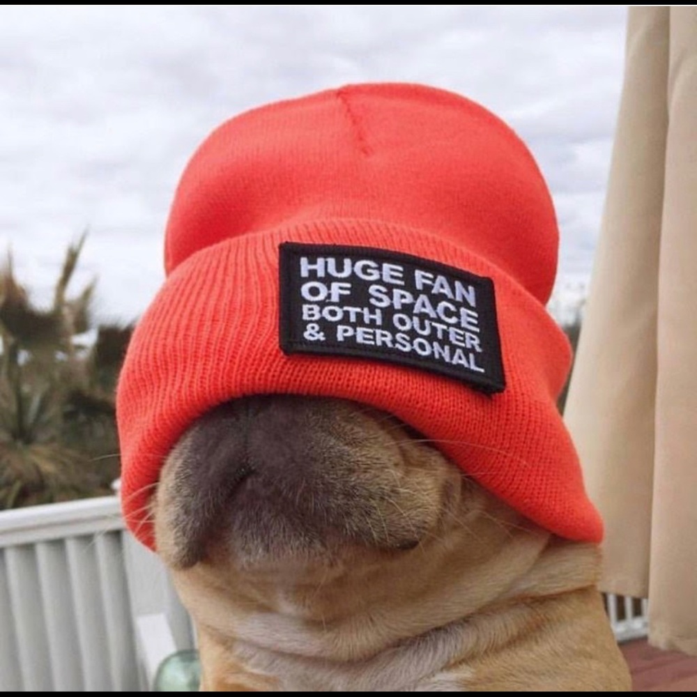 Meet your Posher, Lena